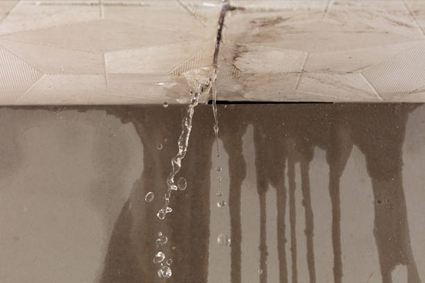 Professional Sewage Cleanup technician working in Jamestown, CO